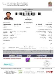 WORK Visa_Neelam Vasu